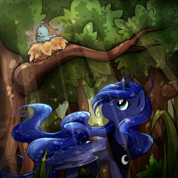 secret-pony:I shall sing you the song of my people<3