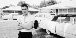 vinceveretts:  Elvis photographed by Phil Harrington at his