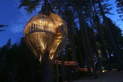 Arboreal appetite (the Yellow Treehouse Restaurant, Auckland, New Zealand)