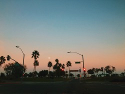 fllops:  ㅤ