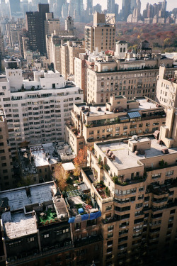 -vvaste:  rooftops (by i am lucky) 