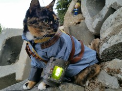cat-cosplay:  According to Robert House, Cat’s are extinct