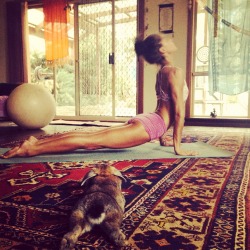 om-shanti-shanti:  Ollie and I doing yoga. #upwarddog #yoga #midvinyassamovement