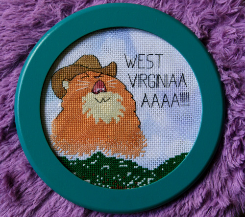 crossstitchworld:  Country roads meme cat pattern by The Stitchery