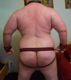 joshthebullpup:joshthebullpup:after a very heavy pec day and