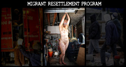 taurusartworks:  Migrant Resettlement Program.  Relentless swarms