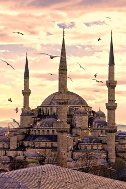 alabina-life:  Turkey. Istanbul.Blue mosque( Sultan Ahmet camii)