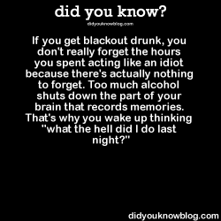 did-you-kno:  If you get blackout drunk, you don’t really forget