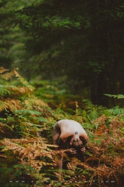 apneatic:  Gifford Pinchot national forest with Corwin Prescott