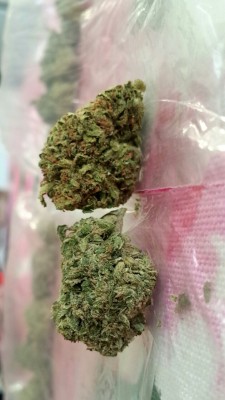 weed-breath:I love pick up day. An eighth each of Mr. Nice Guy