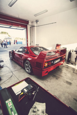 themanliness:  Ferrari F40 | Source | More      