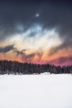 ponderation:  Winter Bliss by bodson15 