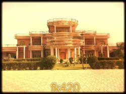 My house x