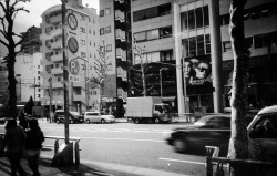 juntarophoto:Filmphto/Omotesando/Street snap