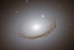 distant-traveller:  Unusual dusty galaxy NGC 7049  How was this