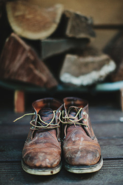 sagelands:  Photo by Bethany Olson. Follow for more here. 