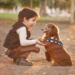 spicetag:When Han met Chewi. #starwars #episode7 #cosplay #cute