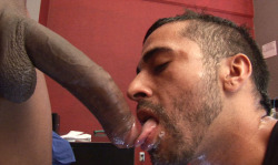 ffboys01:  Only best cocks, best cumshots, best fucks, best butts, best