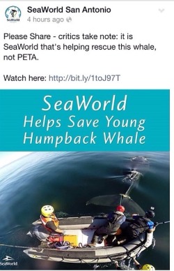 stumpytheorca:  seaworldtruth:  Really SeaWorld!? I can’t believe