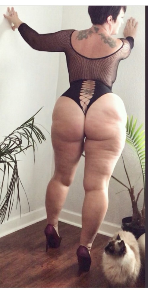 dmvpornking: