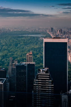 setbabiesonfire:  wukay:  Central Park | Diego Chiara  This is