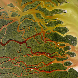 dailyoverview: Everglades National Park in Florida is the largest