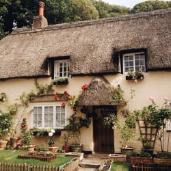 floralls:    fairy cottages (UK)   by  sour_sun    