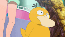 miracleman2:  Gif of Psyduck’s headache after the battle!