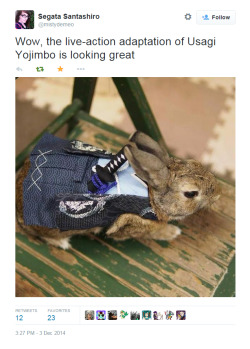 liquidxlead:dana-rama:Eheehee! If only my rabbits tolerated costumes!I now require someone to bandana &amp; katana-strap wittle tootles 