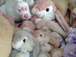 4455660012300:  my grandma has a collection of these bunnys above