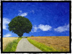 Oil painting - summer tree by FotoSketcher on Flickr.