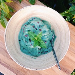 eat-to-thrive: Mint chocolate chip “ice cream”. So good!