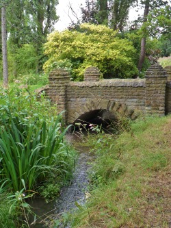 vwcampervan-aldridge:  Bridge at Walsall Arboretum, Walsall,