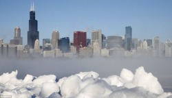 shoshanna37:  Chicago under ice, couple days ago. January 2014