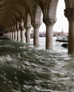 water-aesthetics:  Venice