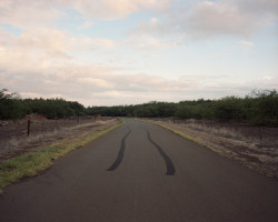 nevver:  Faster miles an hour, David Egan