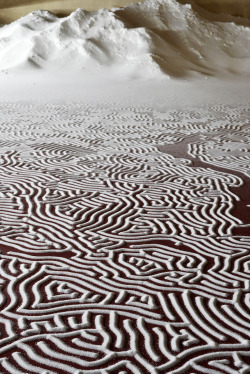 itscolossal:  New Labyrinths of Poured Salt by Motoi Yamamoto