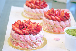 cinnahearts:  charlotte a la dragee rose (by your frangipani)