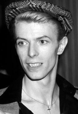 THE THIN WHITE DUKE