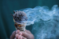 enlightenthejourney:chaeronea:here’s some burning sage to cleanse