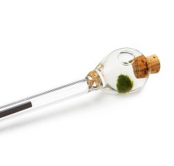 lolitaproblems:  MARIMO MOSS BALL POINT PENฤ.00  I NEED