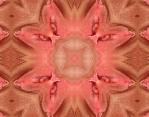 kaleidoscopepussy:  wow, such a juicy pussy!   
