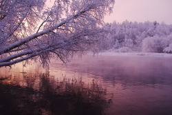 deathorbs:  frosty morning by Vladimir Trenin  