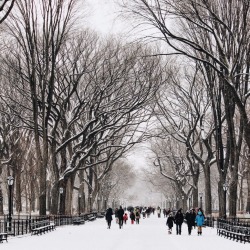 newyorkcityfeelings:  Central Park after the storm by @TheEvelynNYC