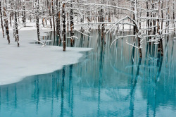 sarnain:  Blue Pond in Hokkaido, Japan [x] 