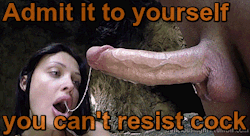 sissysafteyporn.tumblr.com/post/178989785479/