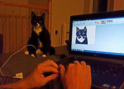 awwww-cute:  My BF started drawing my cat in Microsoft Paint