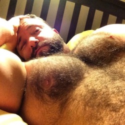bearslikeus:  Bearly Awake  What the hell happened to me? Last thing I remember is the gruff looking cabbie dropping me off at some seedy looking bar. I remember the bouncer grabbing me by the collar of my shirt and dragging me inside.   It’s all so
