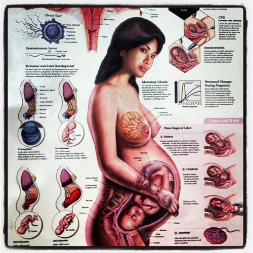 heyshitface:  Dang. #pregnancy #birth #life #yesterday #support ðŸ˜³ðŸ˜“ðŸ‘¶â˜º  Just want my followers to have some more insight :)