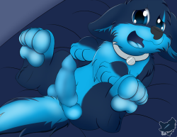 cloufynsfw:  Tummy rubs get me really excited 💙🐺just throwing